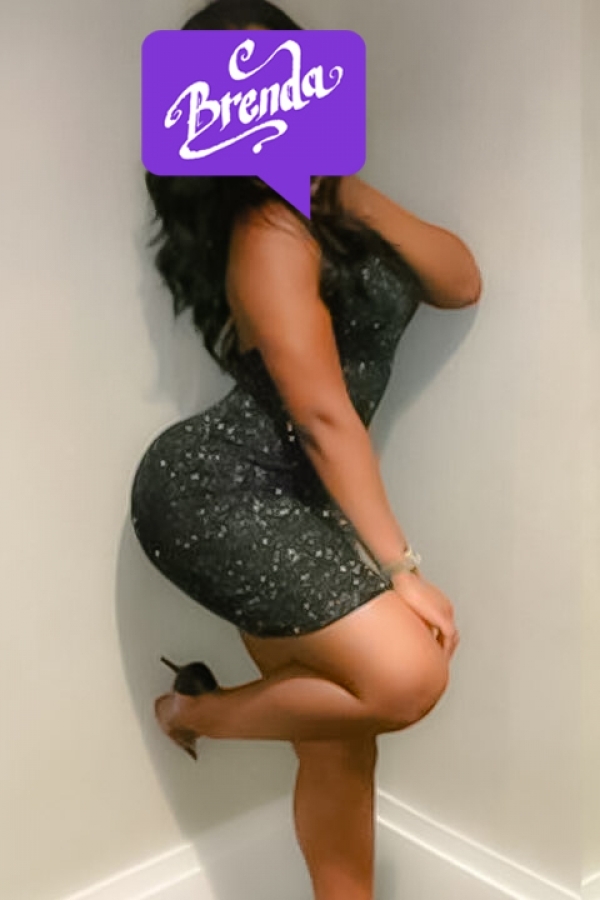 Brendaexotic +529841565045