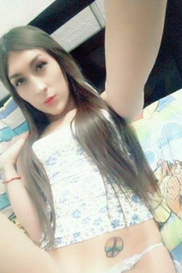 Transmolinos +529841565045