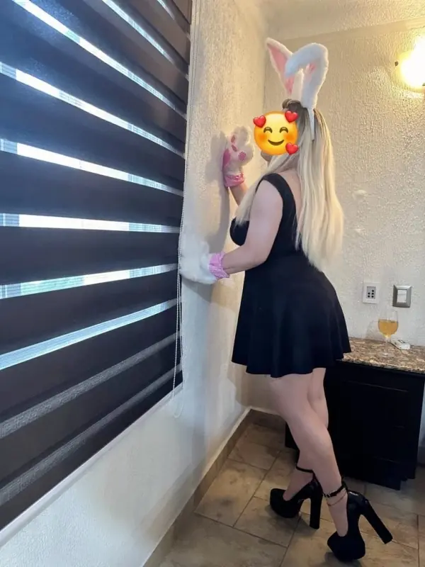 MeghánRabbit +52(427)1031-023